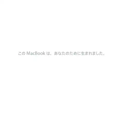 appleアップルMacBook (13-inch, Mid 2010)